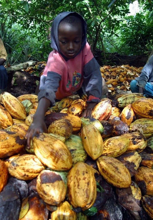 Slavery, Chocolate, and YOU!