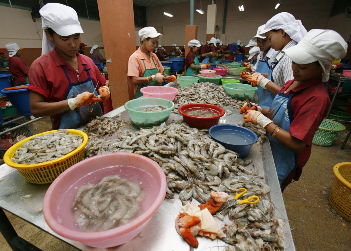 Global Super Markets Selling Shrimp Peeled By Slaves